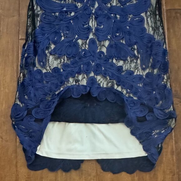 JS Collections Lace Midi Dress - Picture 5 of 6